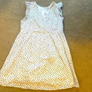 Loft dress NWT